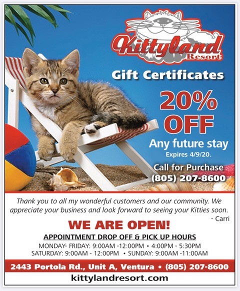 Kittyland Resort